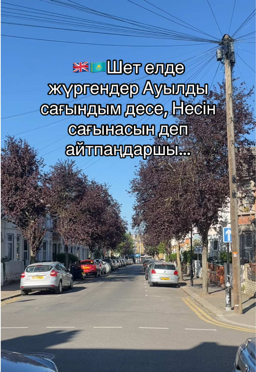 @Balzhan.Sultan🇬🇧🇰🇿🇺🇿