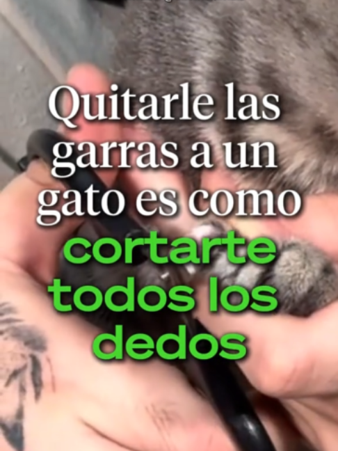 @Ahora Entiendo