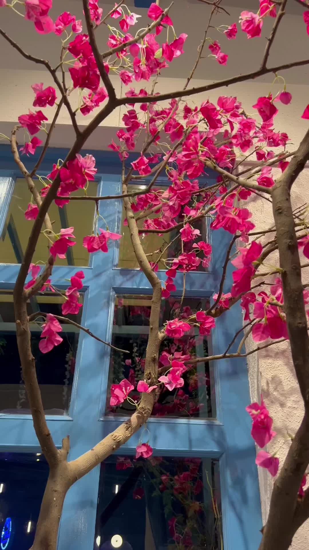 @لالہ موسٰی 💫