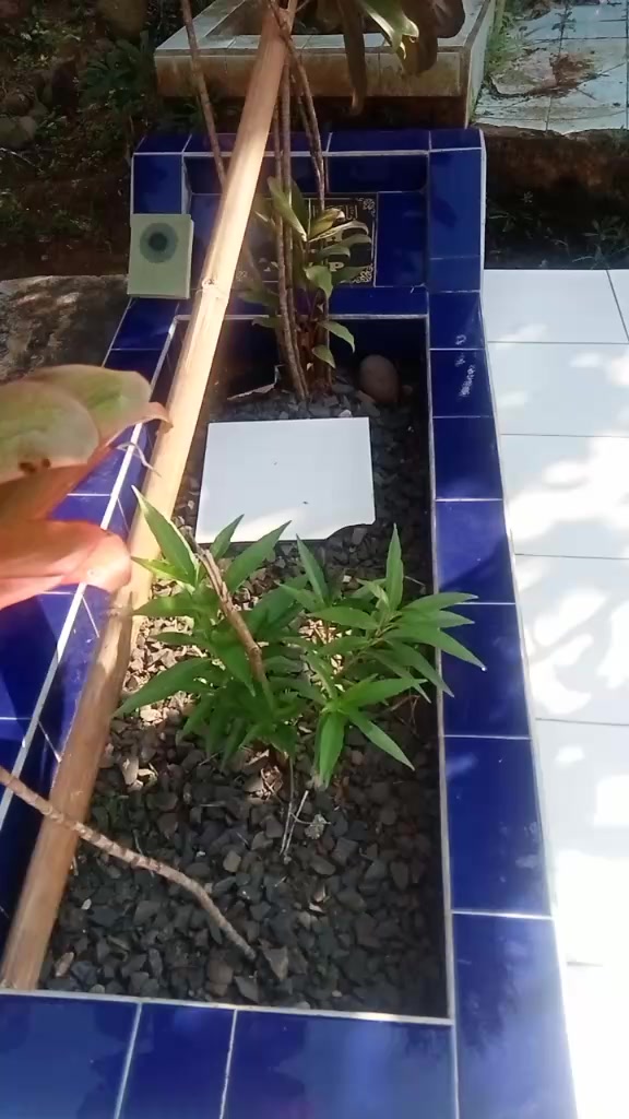 @Mamaharfina6