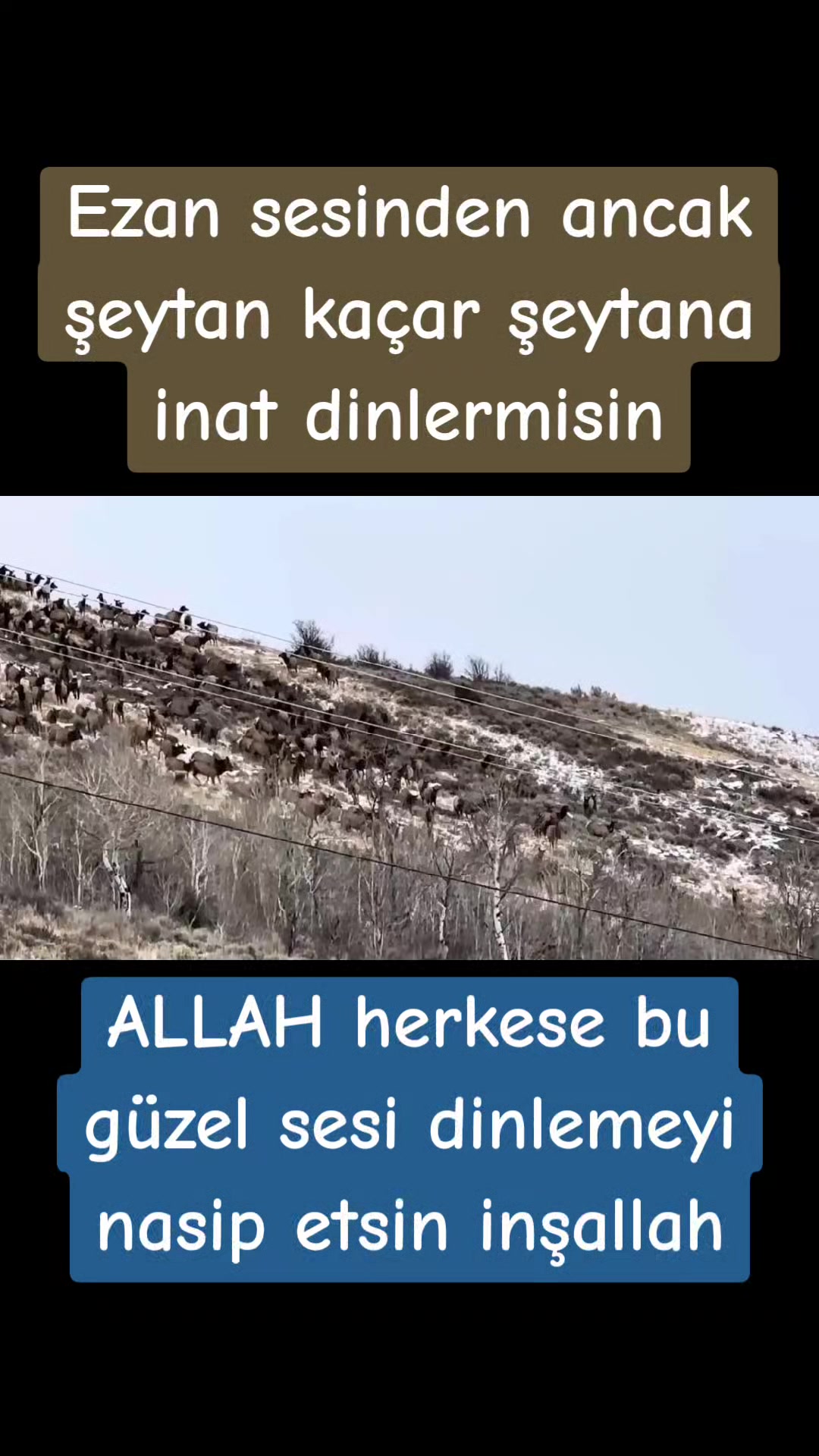 @&Acirc;bH&acirc;Z