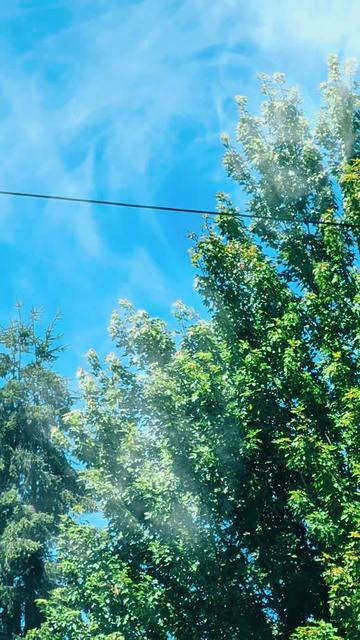 @Sharin&hearts;️🦌🌞🌛&hearts;️