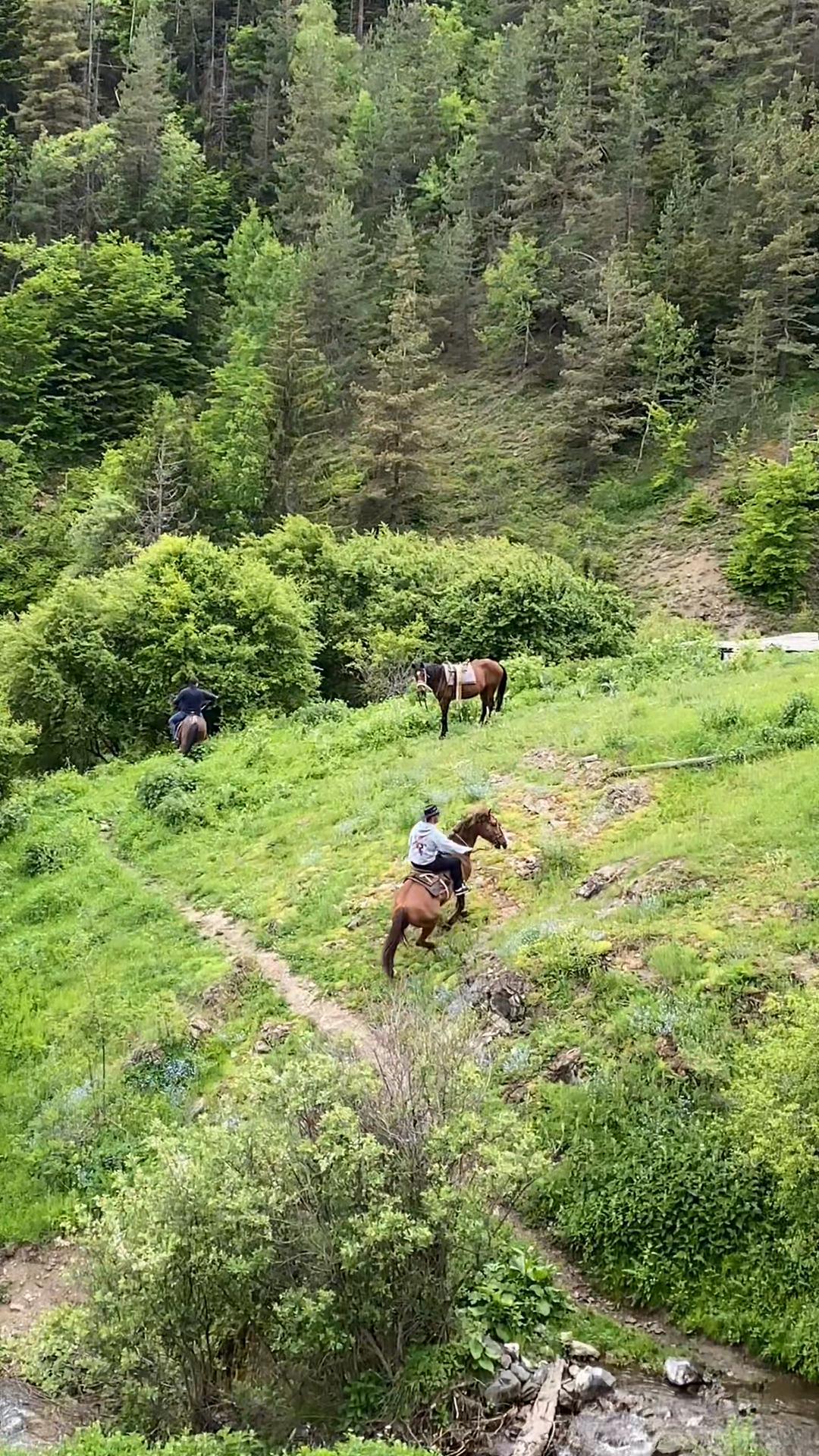 @BuKa Tikanashvili 🇬🇪