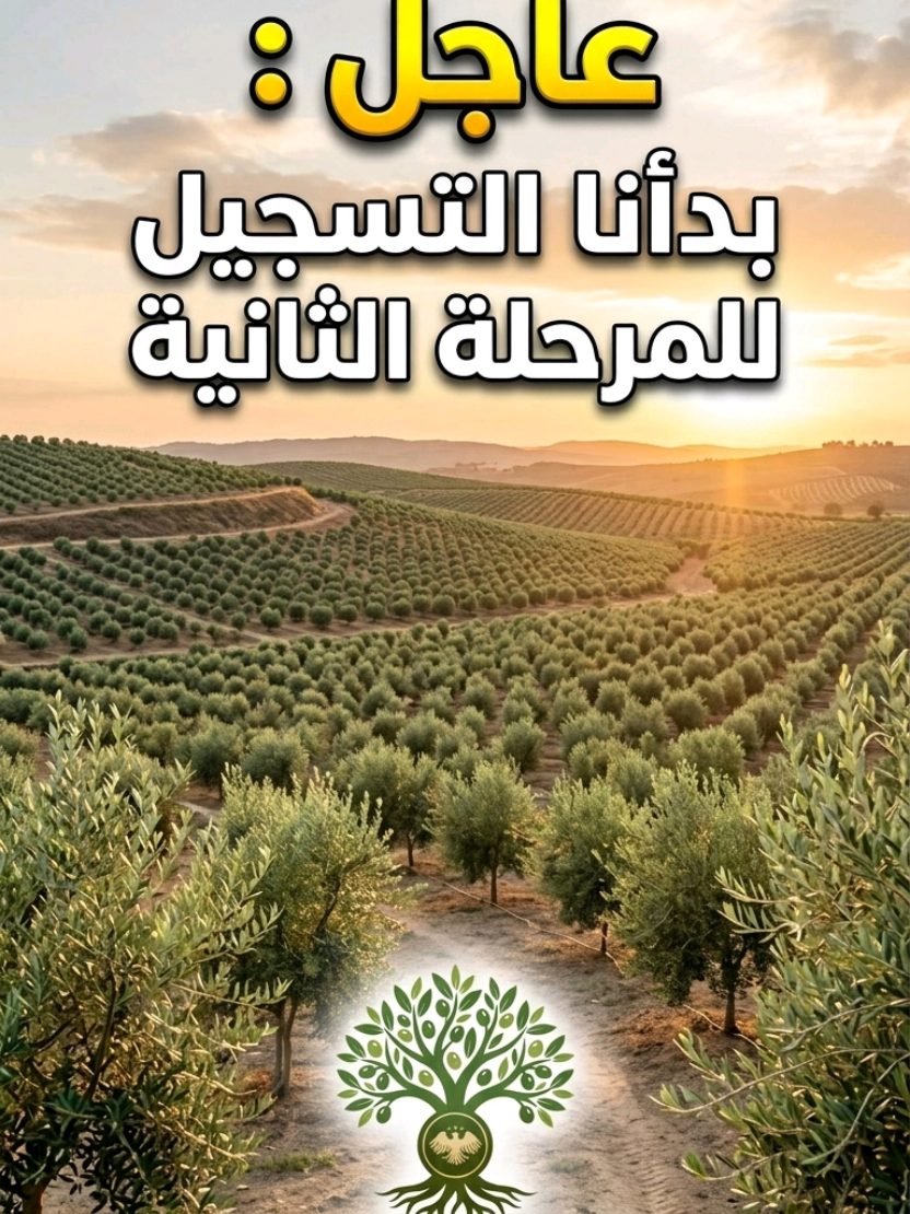 @بشار البيانوني