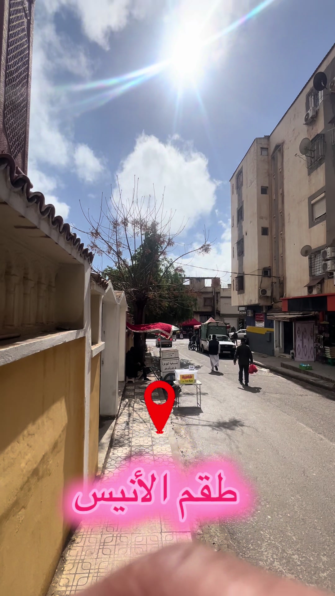 @محمد أنيس