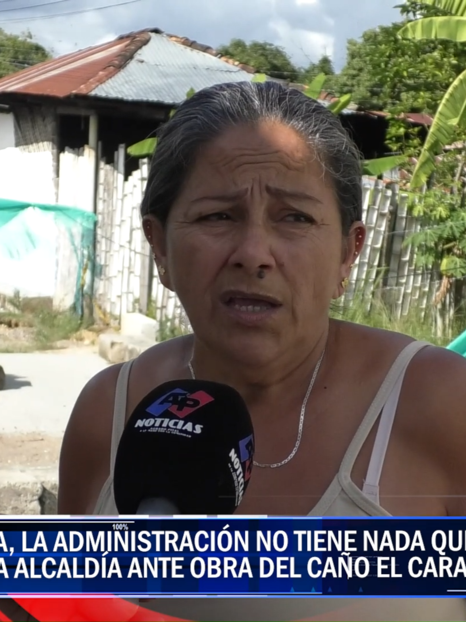 @AP Noticias al día