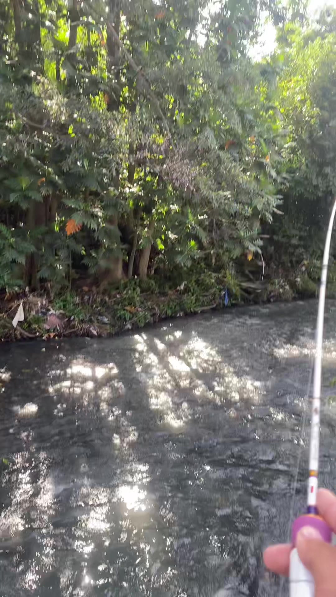 @BINZZFISHING