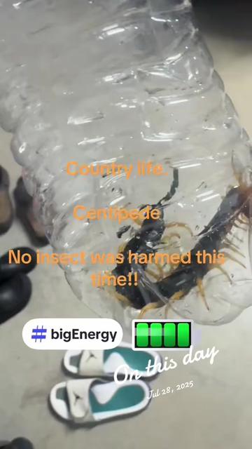 @ChefJenk79✅