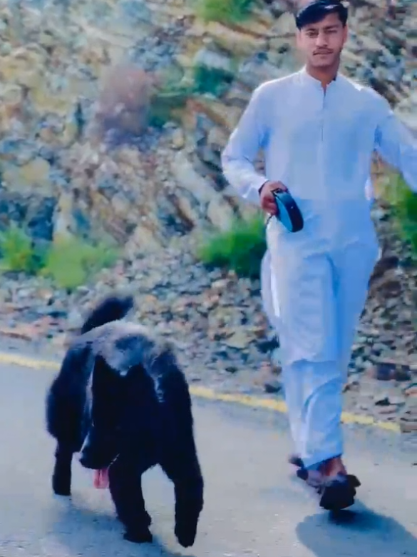 @amjadkhan💪