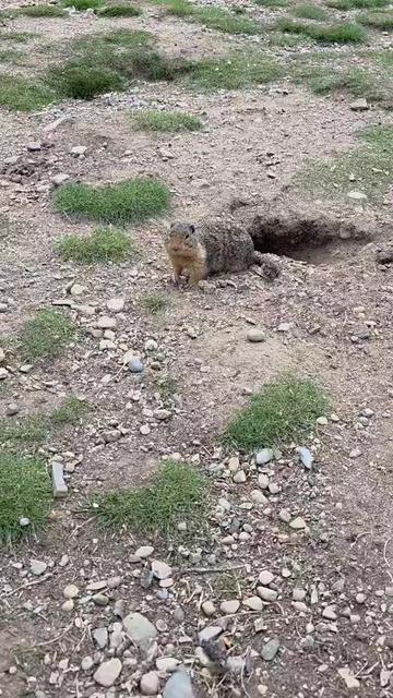 @OS