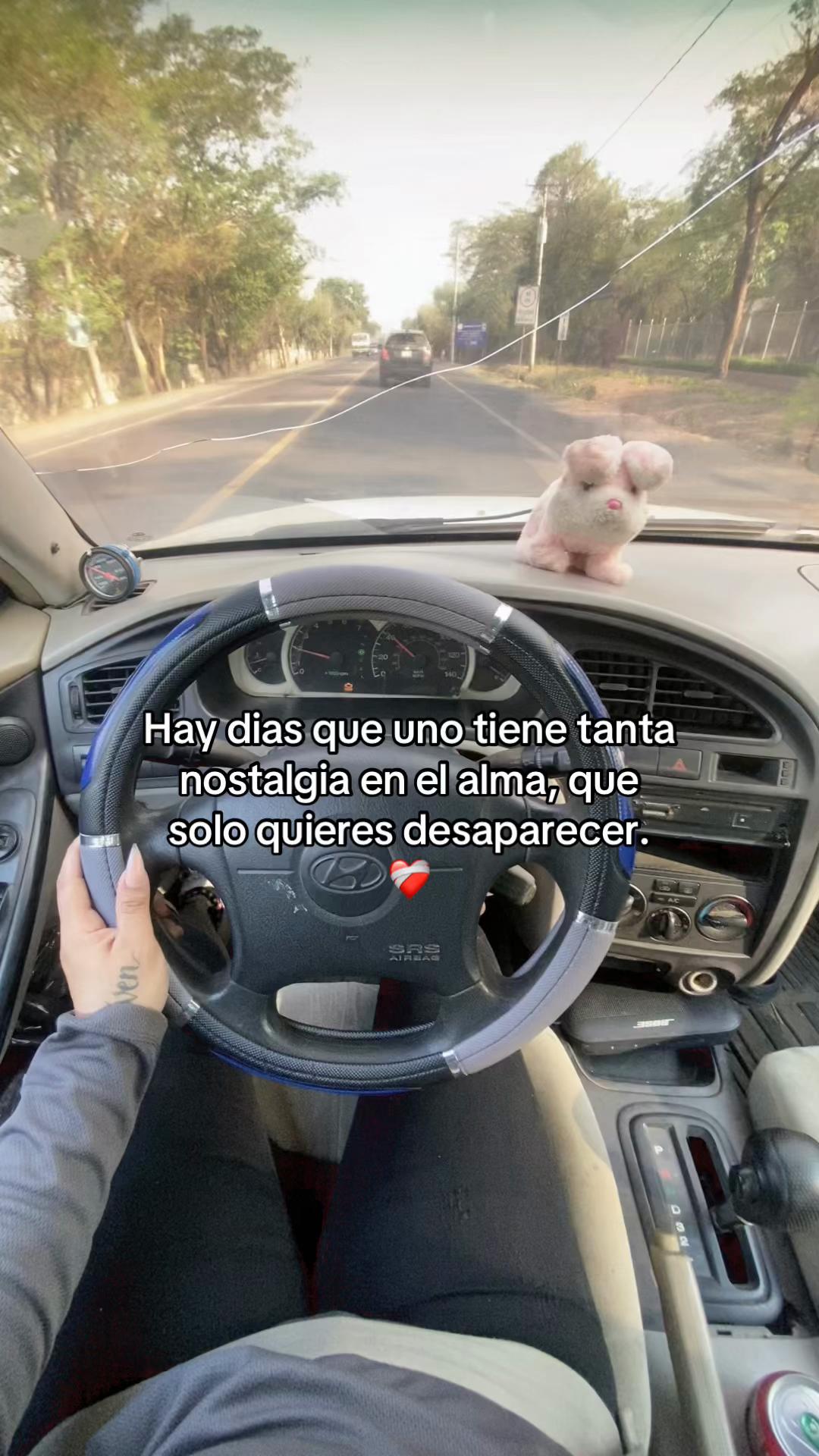 @I V E T T E❤️🩹🇸🇻