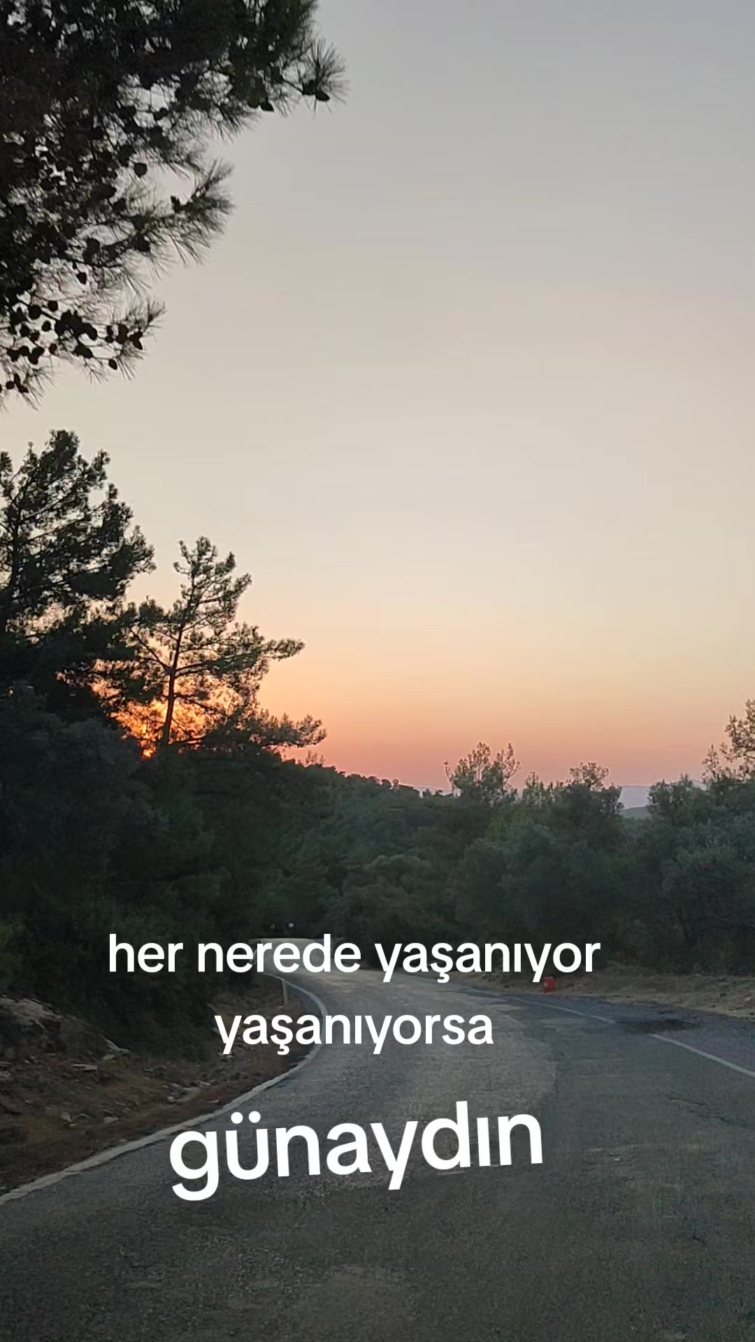 @İsmail İşbilen