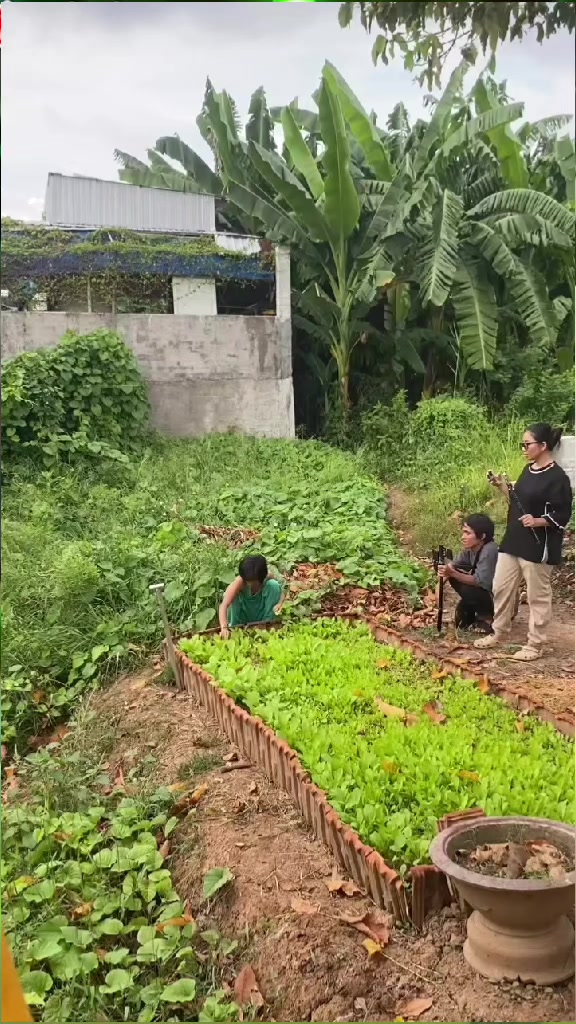 @6359 tui mê https://vt.tiktok.