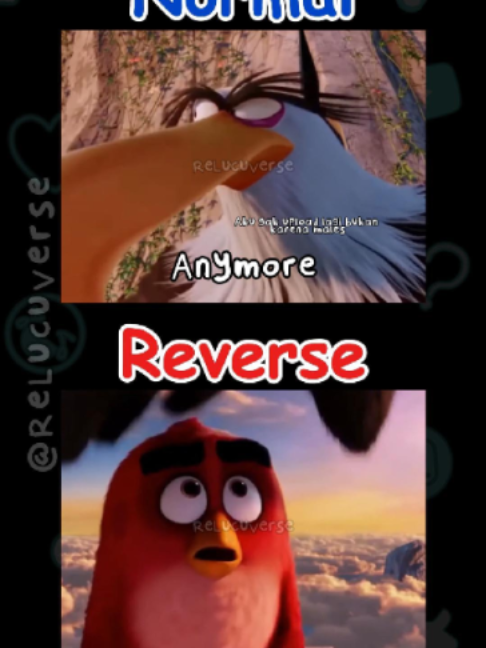 @ReLucuVerse