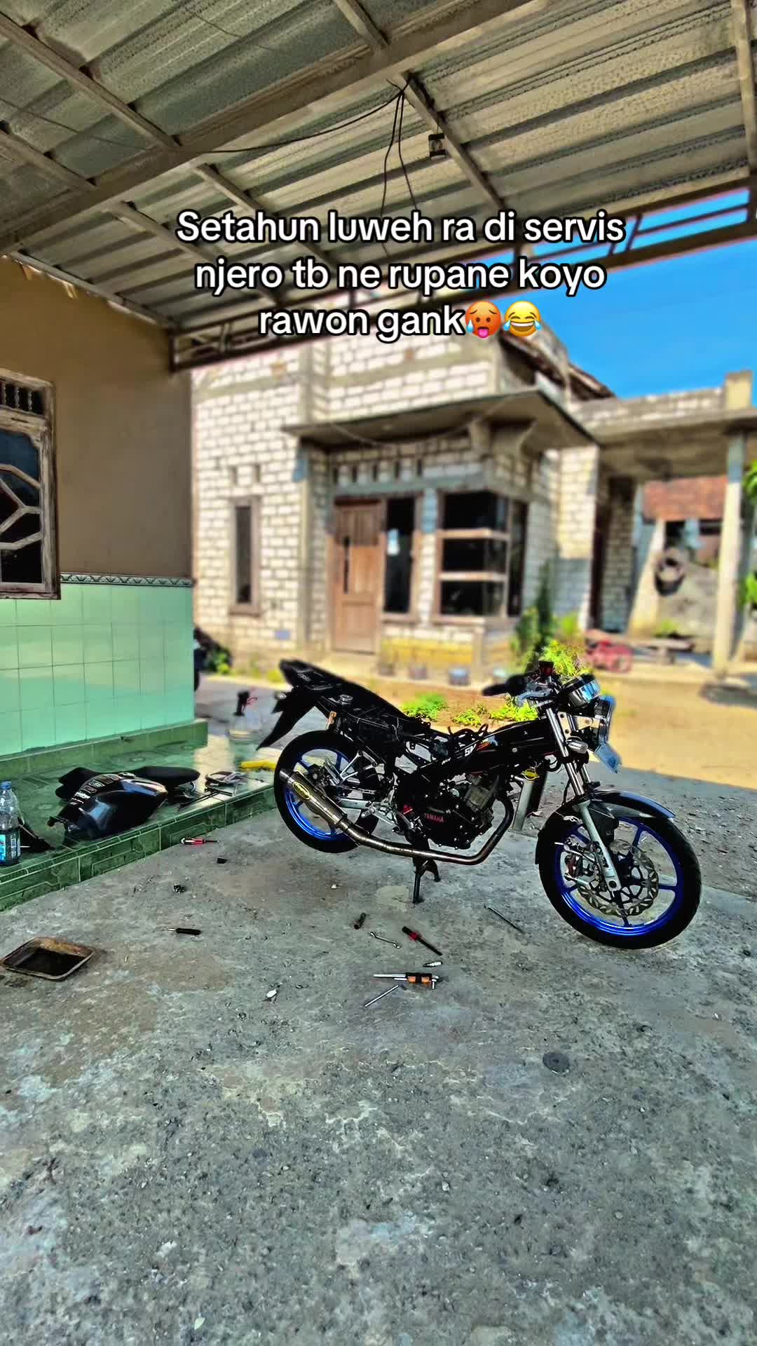 @Klawu Gank🤙
