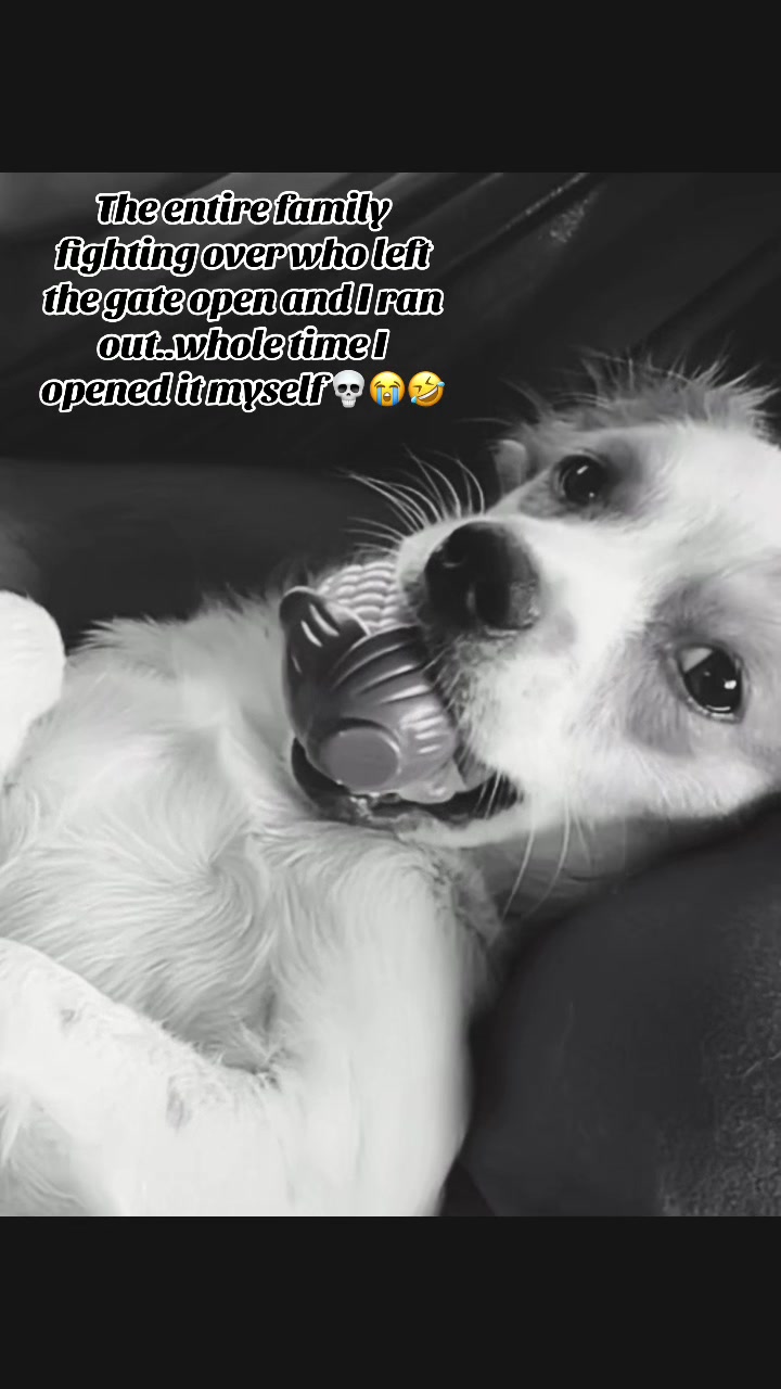 @๐ด๐๐๐๐๐๐ถโจ๏ธ