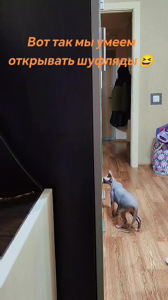 @Daisy&lenochka