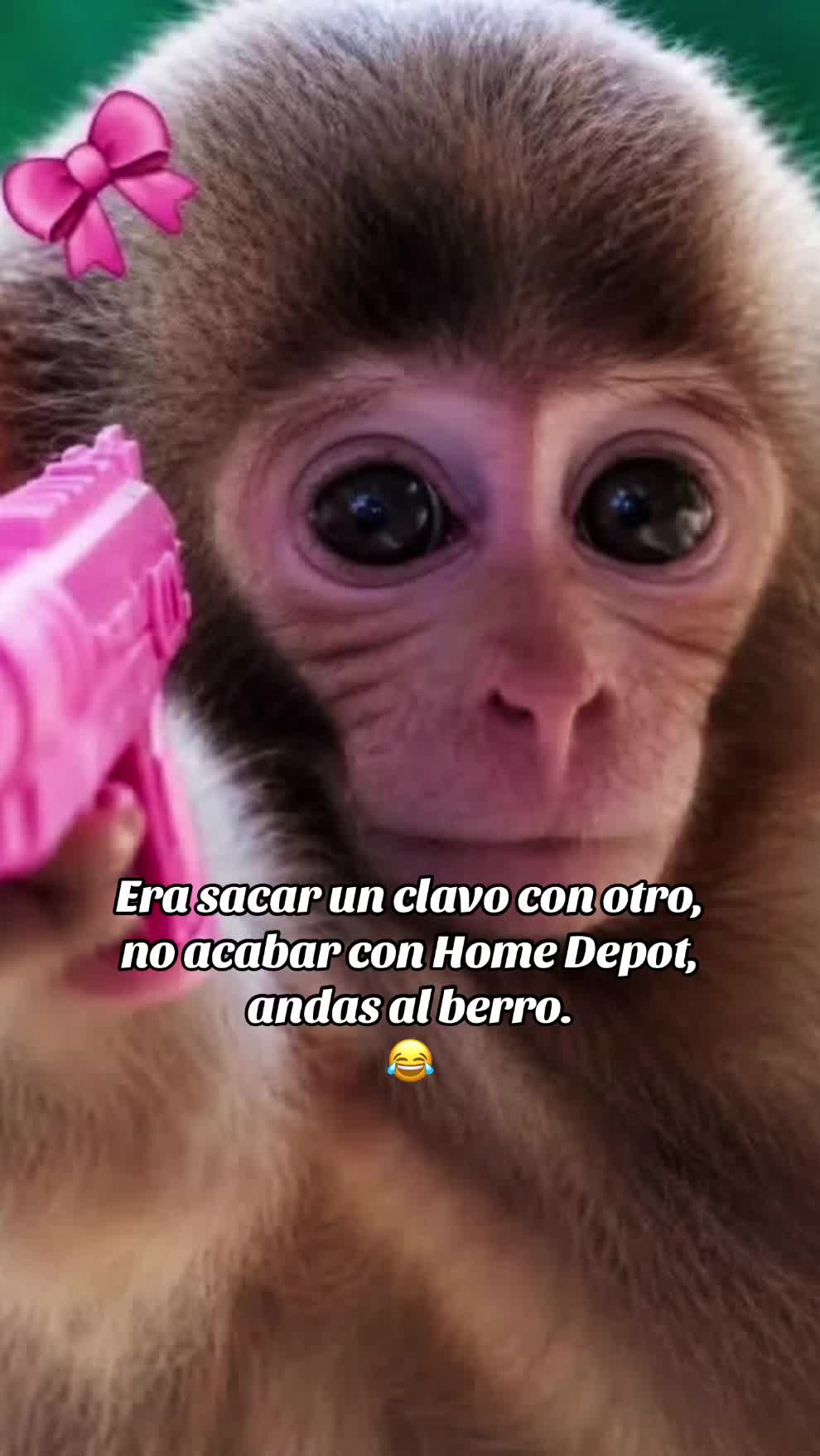 @Paola