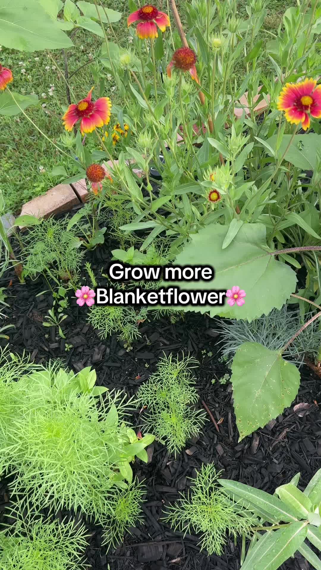 @THERETROMOM❌