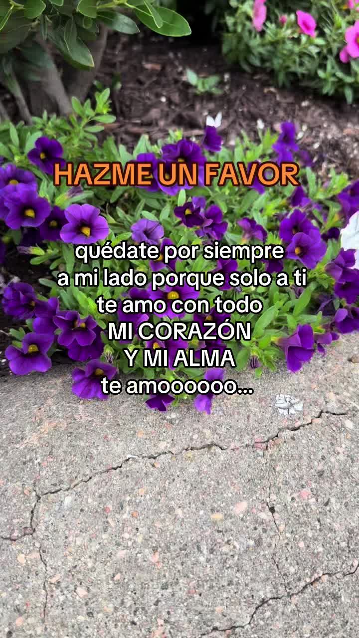 @🌹🌙El Lobito oficial🌙🌹