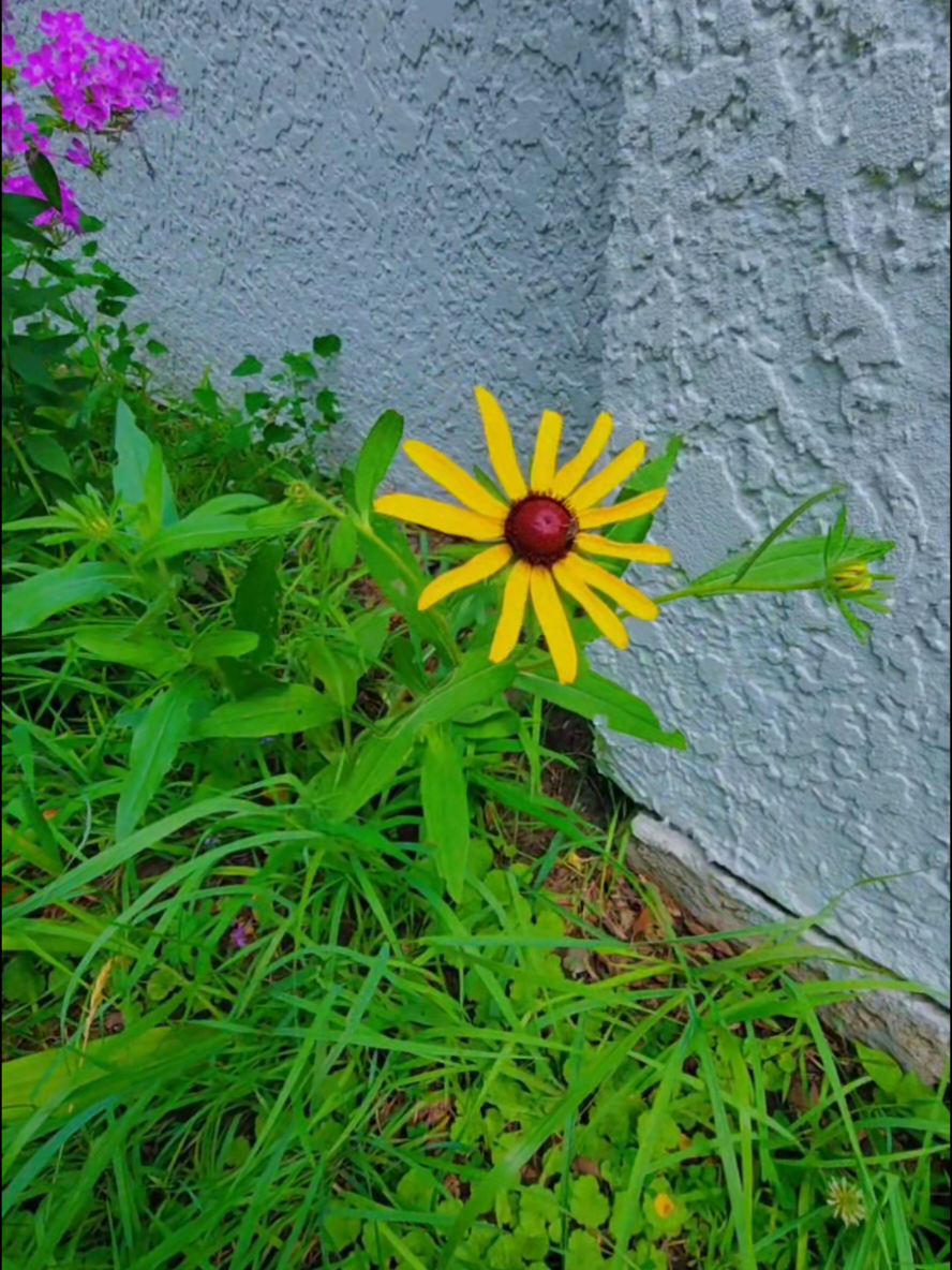 @Alicia ✨️🌱🐛