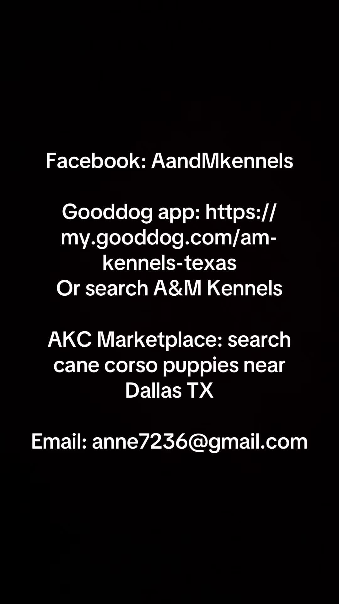 @AandMCaneCorsos