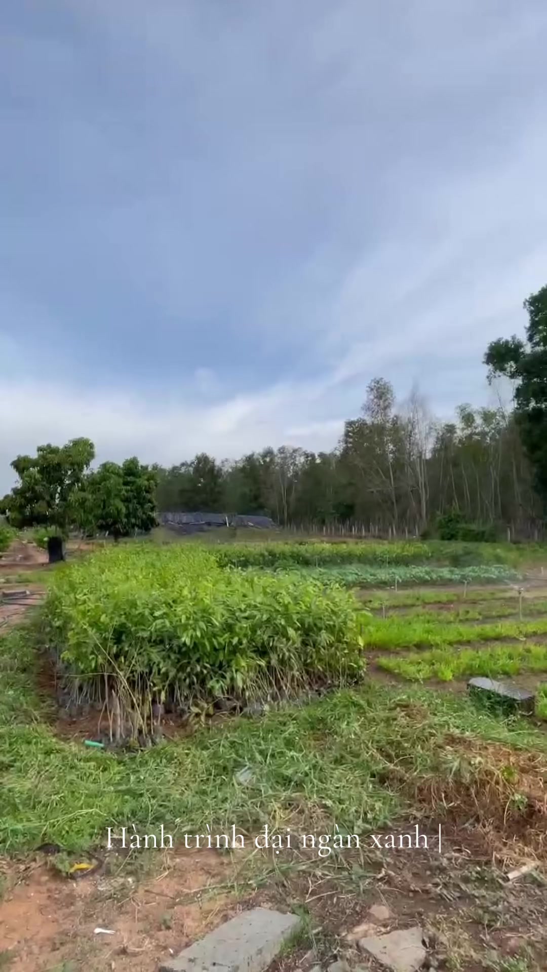 @Dó Đen Việt !