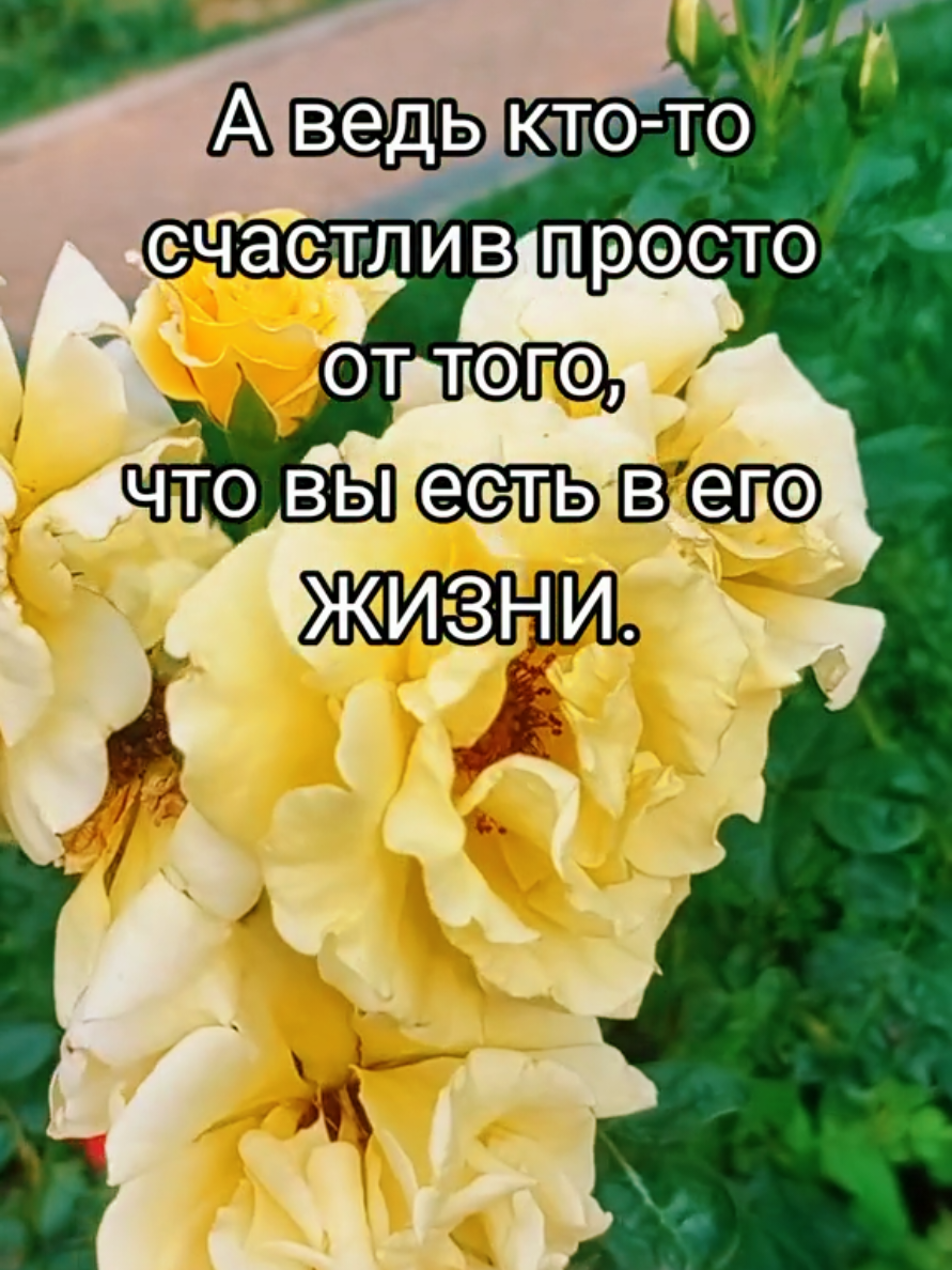 @Марина 🌹🍃