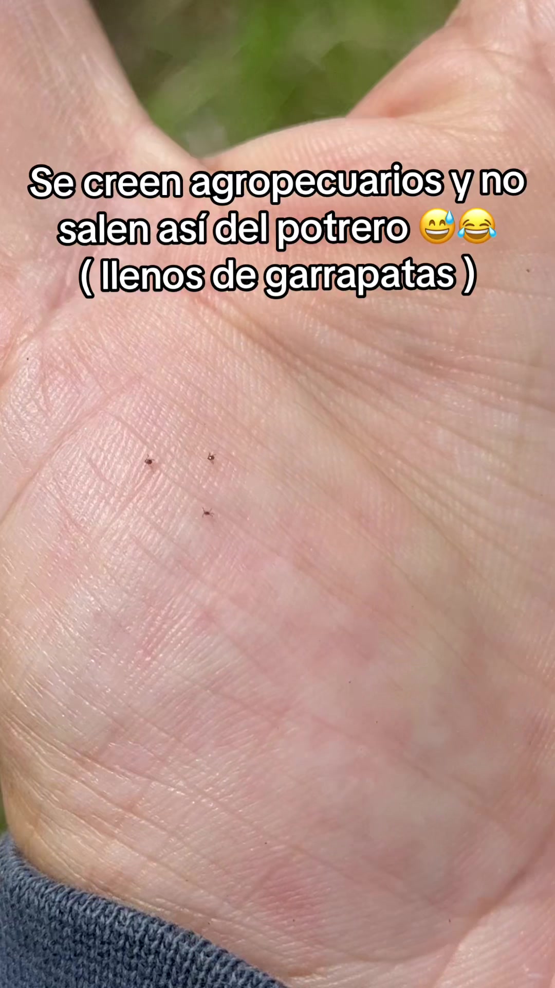 @Jhonatan Cabrera Var