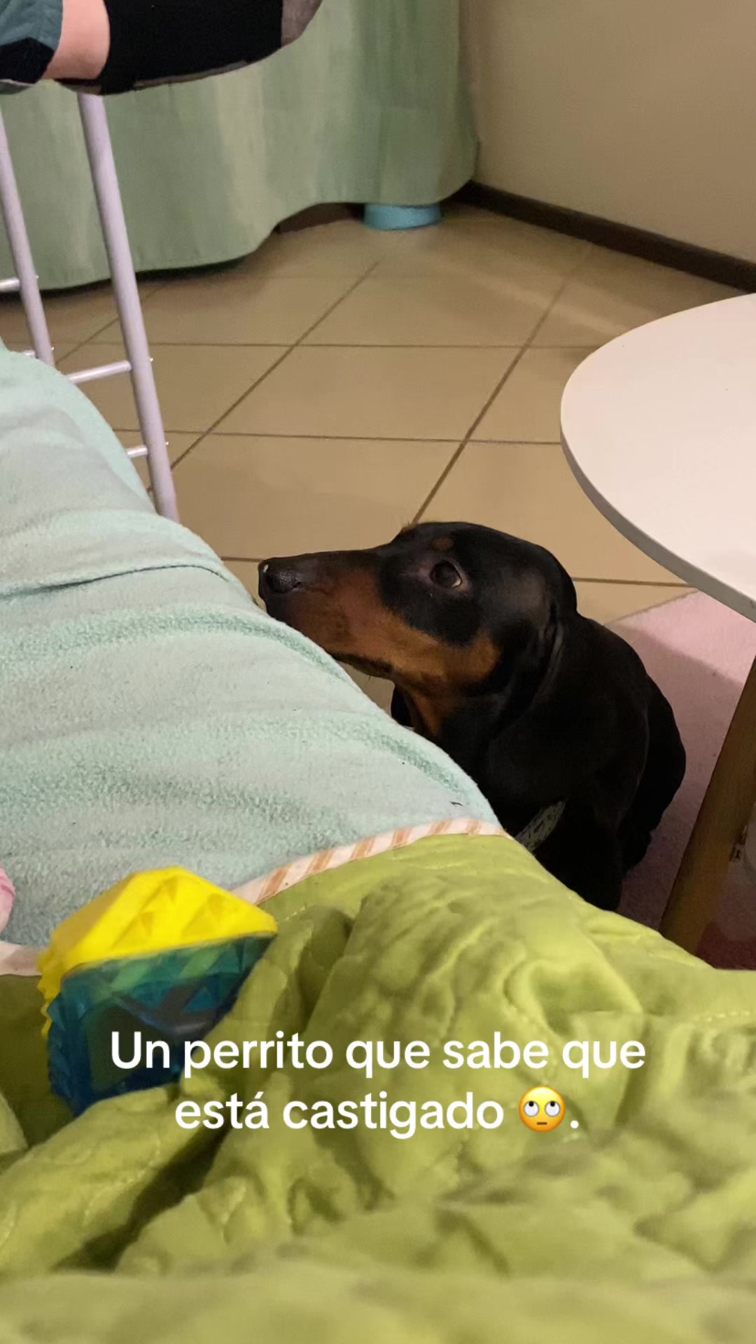 @Dani