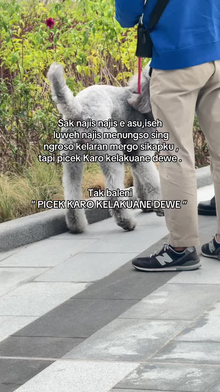 @Intan Aini
