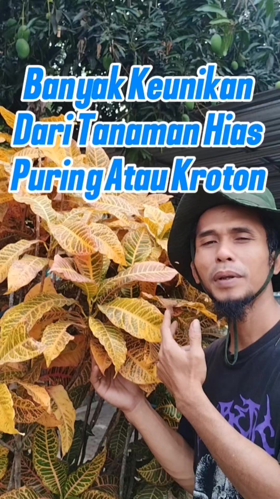 @Bukit Farming