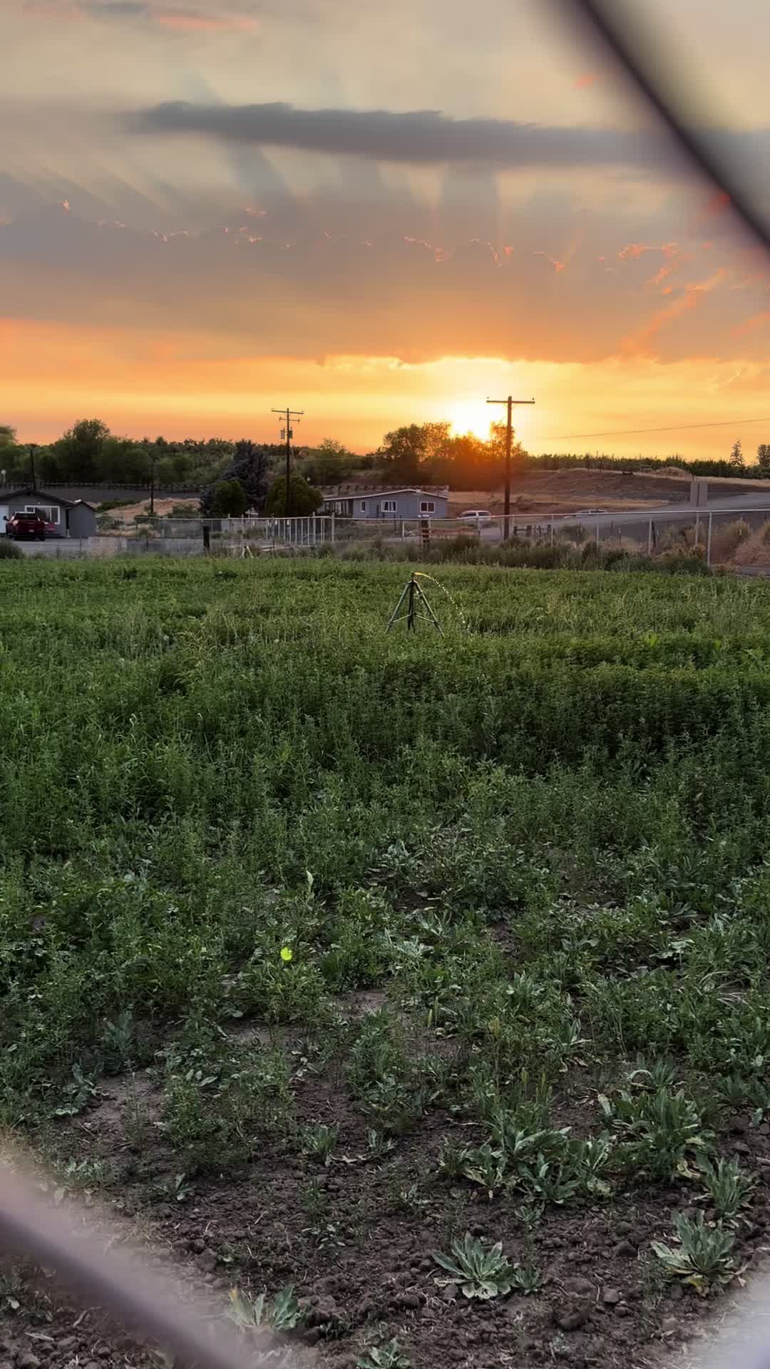 @Sayuri💚 11:11