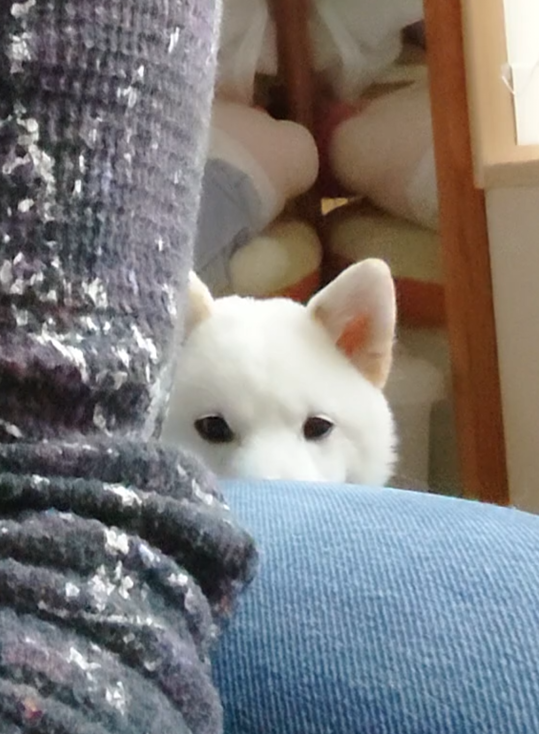 @Mochimaru