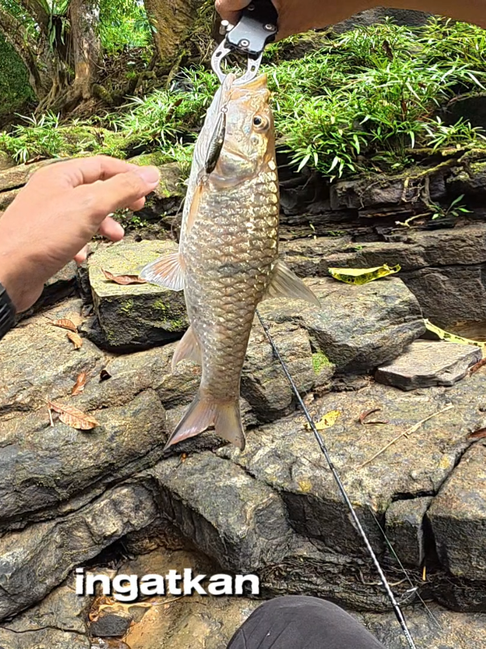 @Damz Strike Fishing