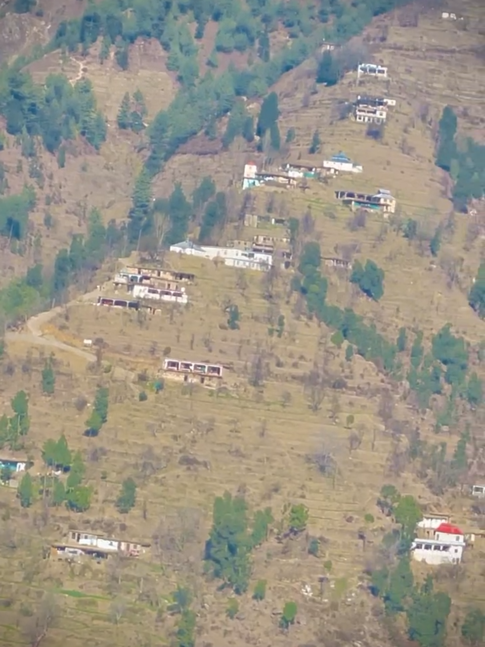 @🌲غر سنے 🌲