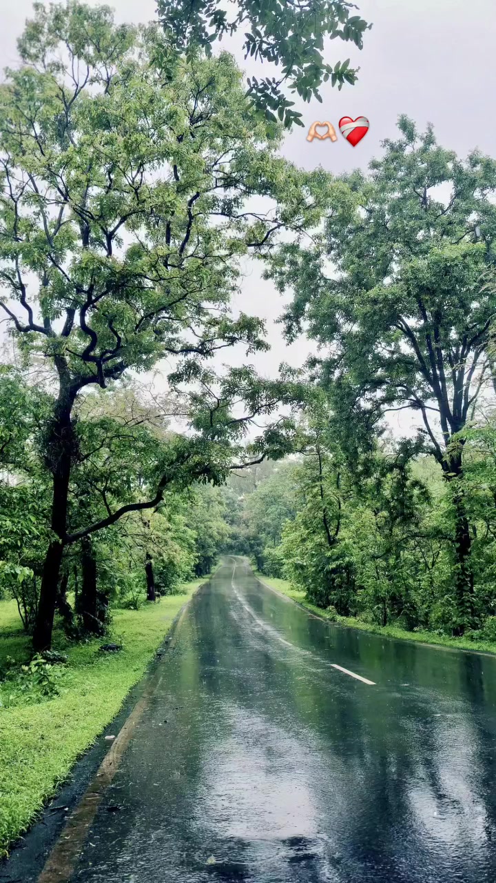 @यादव_मिथलेश 🔥❤️