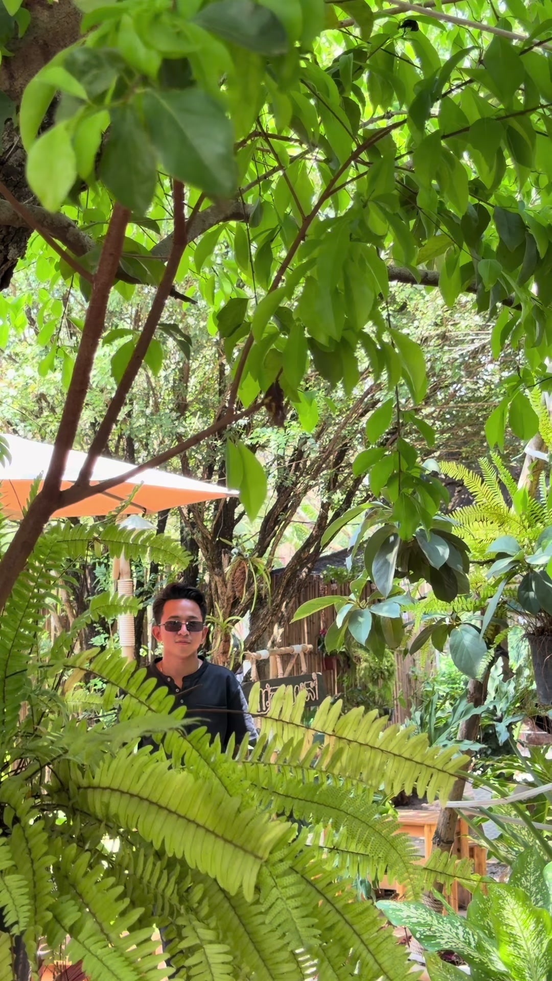 @BOLMELODY-បុលមីឡូឌី🐉