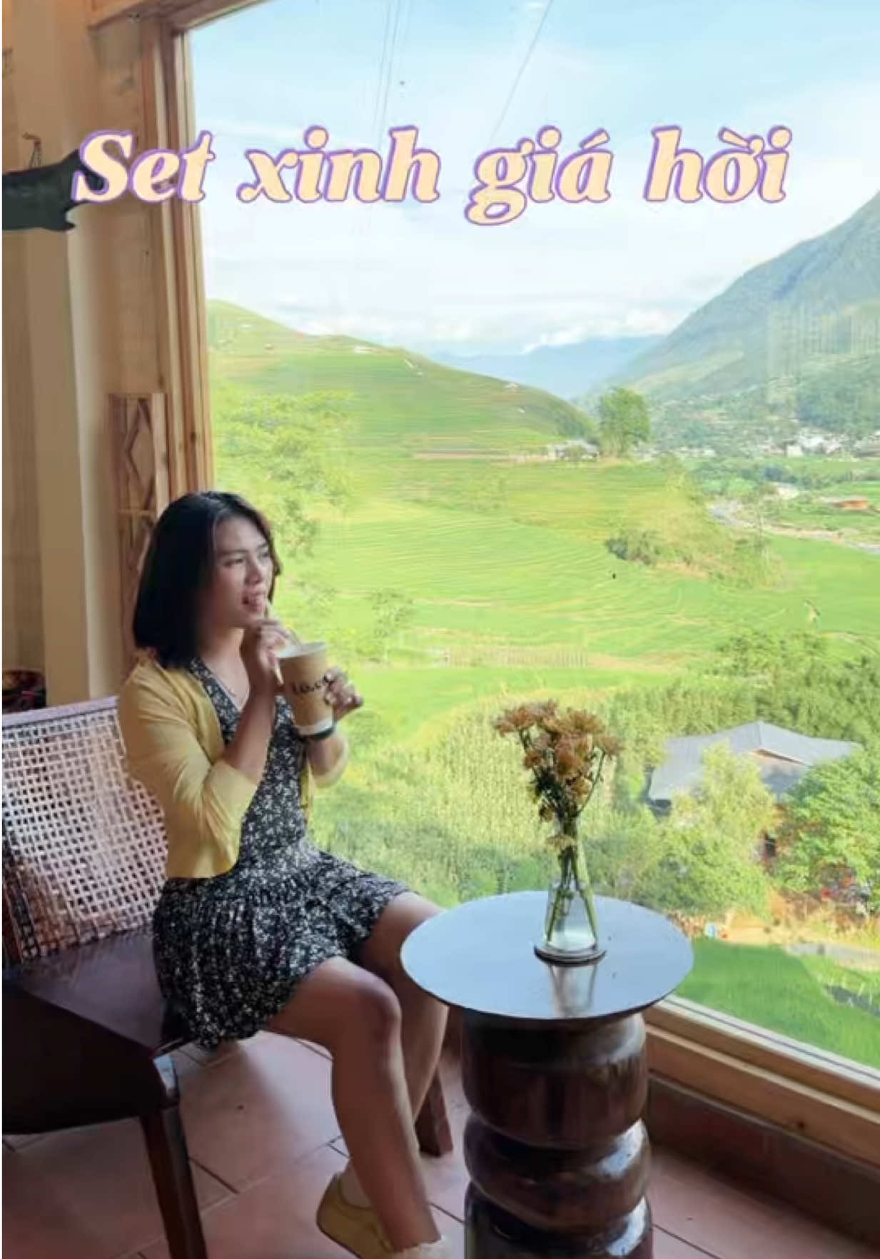 @Gia Đình Mèo Máy