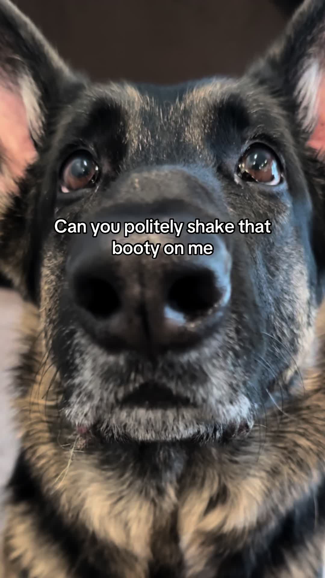 @Bhris