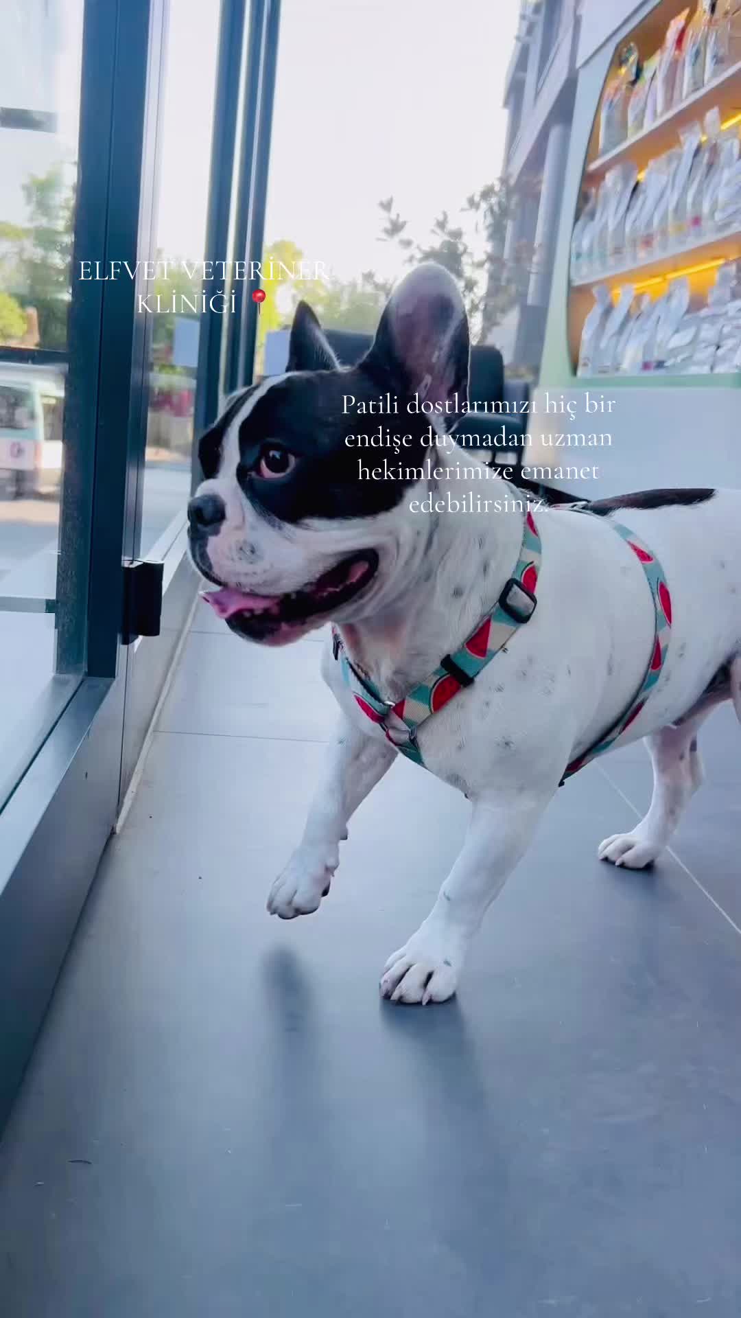 @N.T