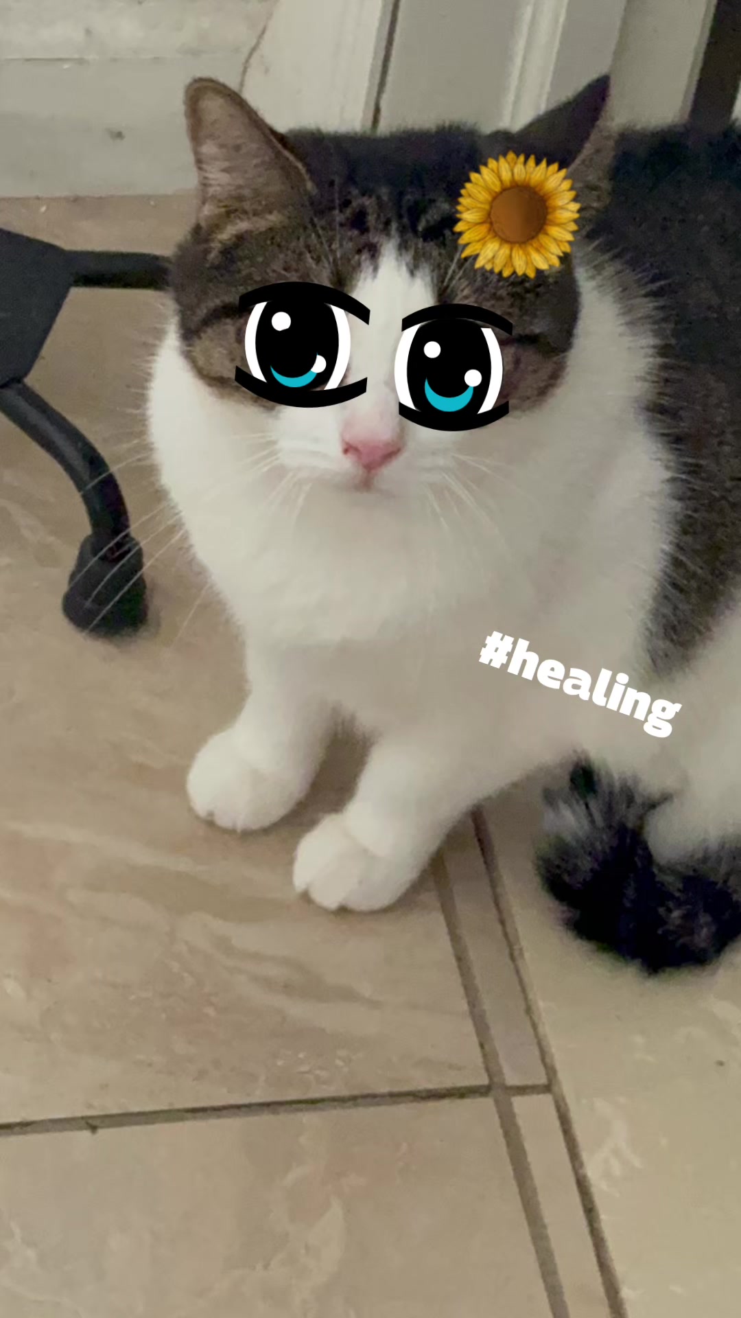 @4⃝⨷comicstuff4life ⨷ 4⃝