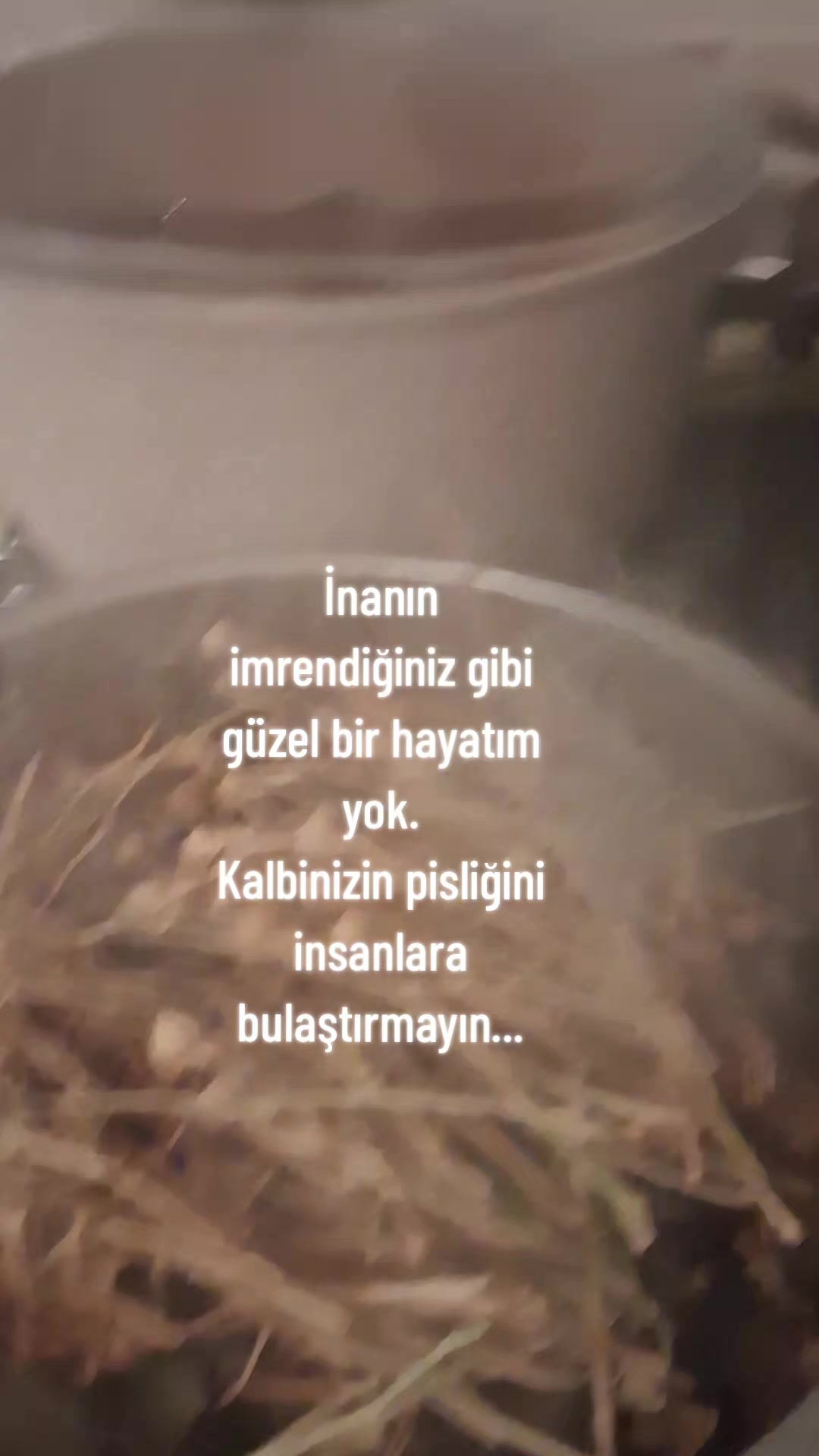 @Ayşe6606
