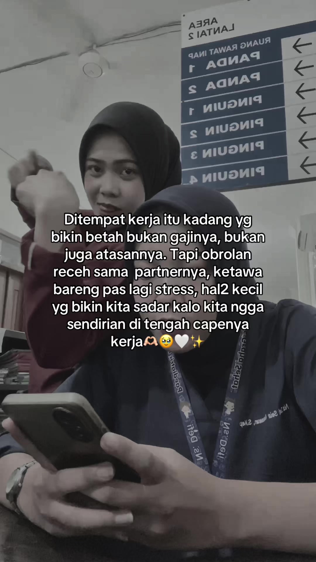 @dfselaa