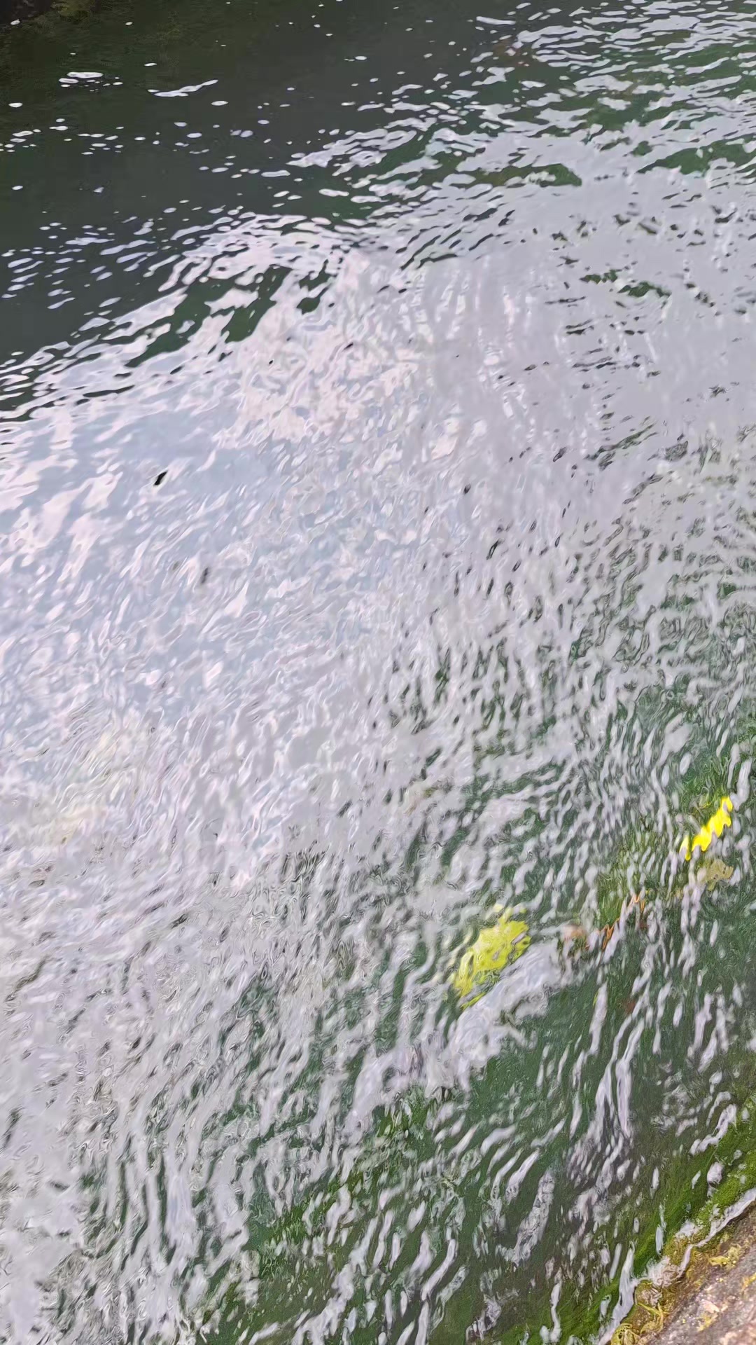 @Gasle Fishing
