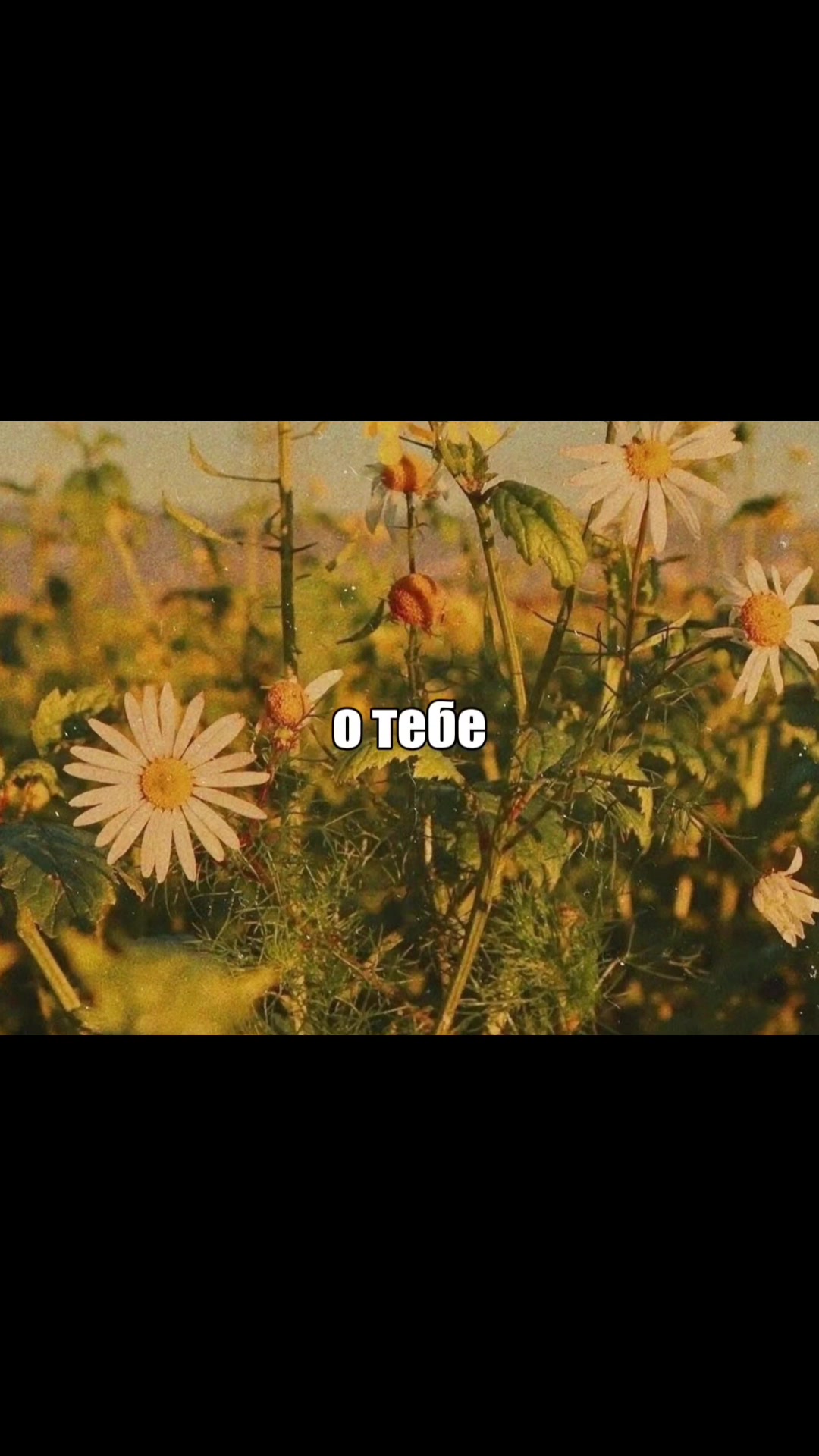 @убᴇᴩиᴛᴇ ᴀᴩбуɜ