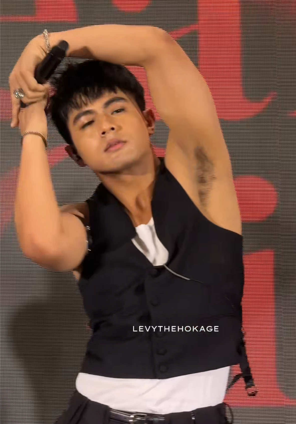 @levythehokage