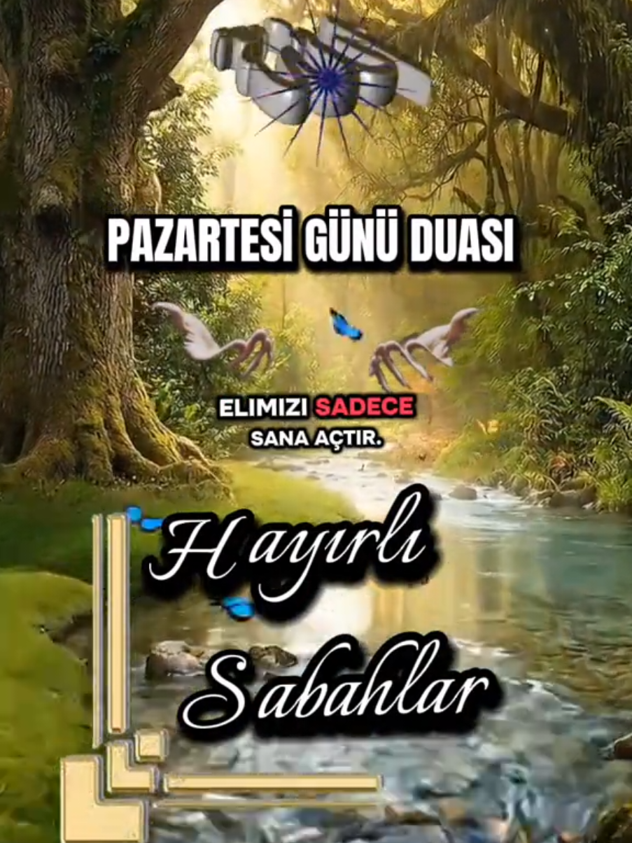 @☪️⃝🤍KIRGIN KALPLER☪️⃝🤍