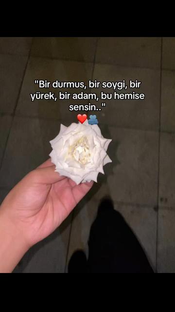 @Jakss_⚜️