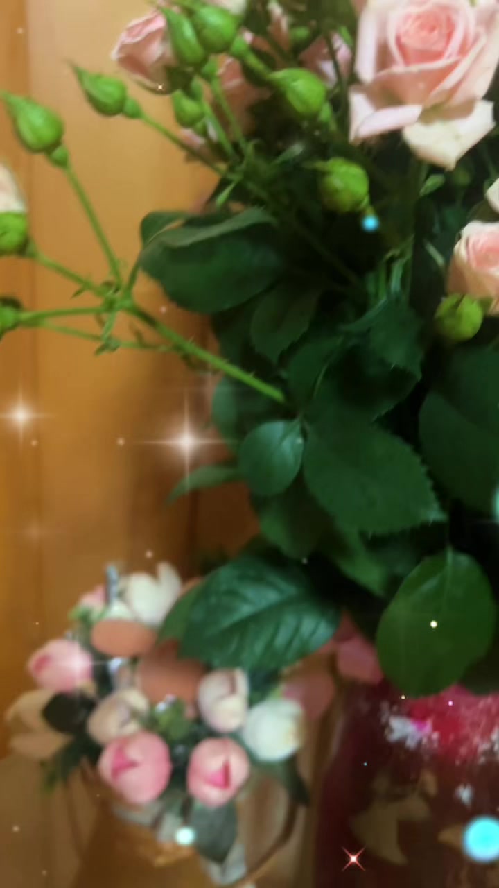 @🌸Лена🌸
